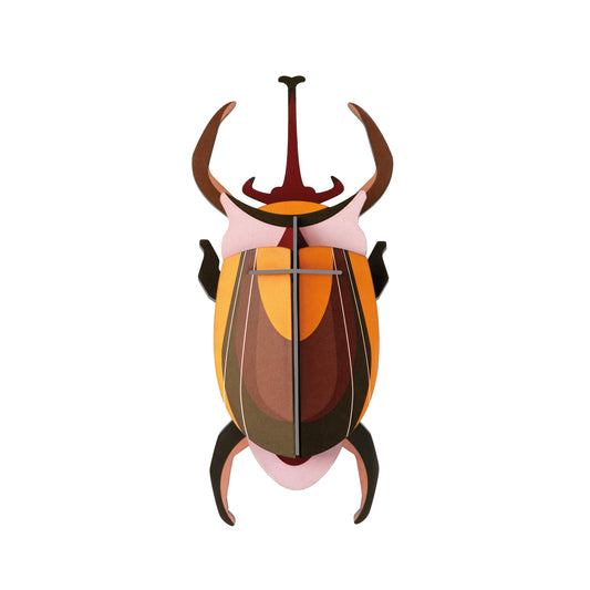 Elephant Beetle