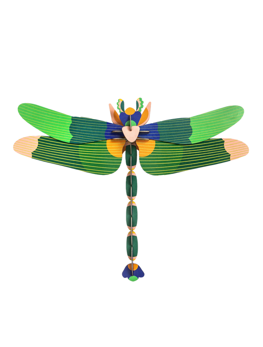 Large Green Dragonfly