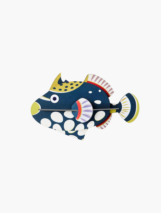Clown Triggerfish - Gigglewick Gallery