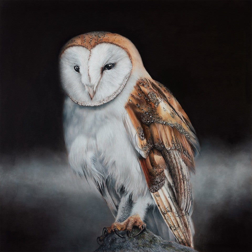 Tricia Findlay - Gigglewick Gallery
