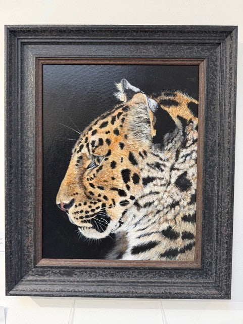 Amur Leopard