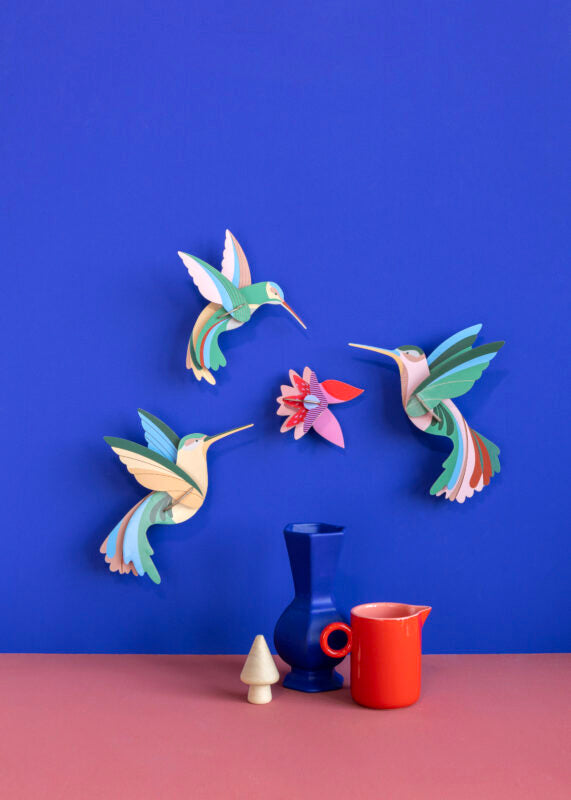 Paradise Bird - Dance of Hummingbirds