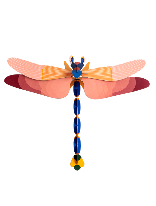 Giant Pink Dragonfly