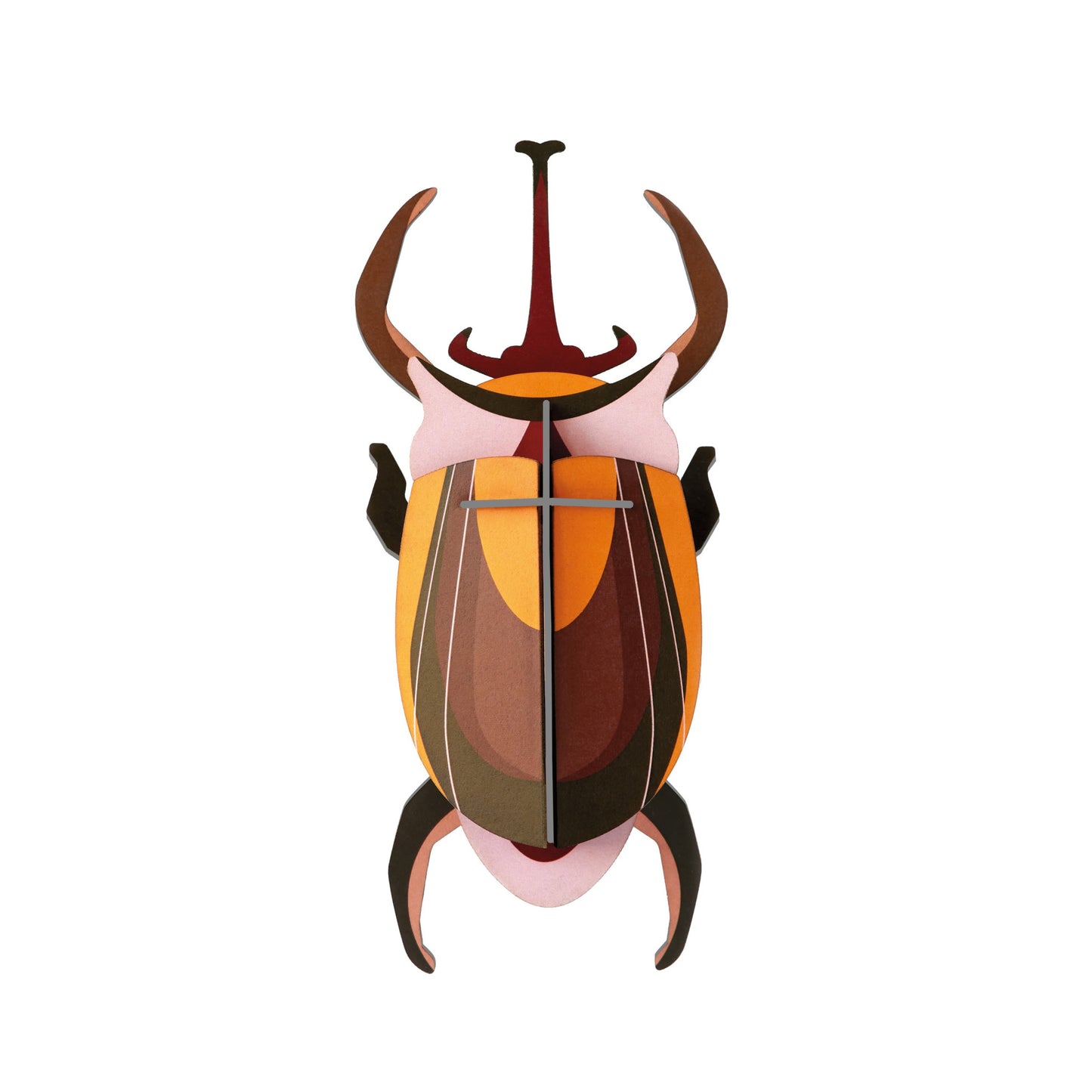 Elephant Beetle