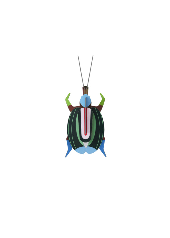 Green Fig Beetle