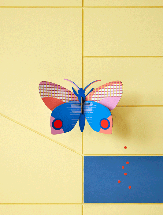 Hapi Butterfly