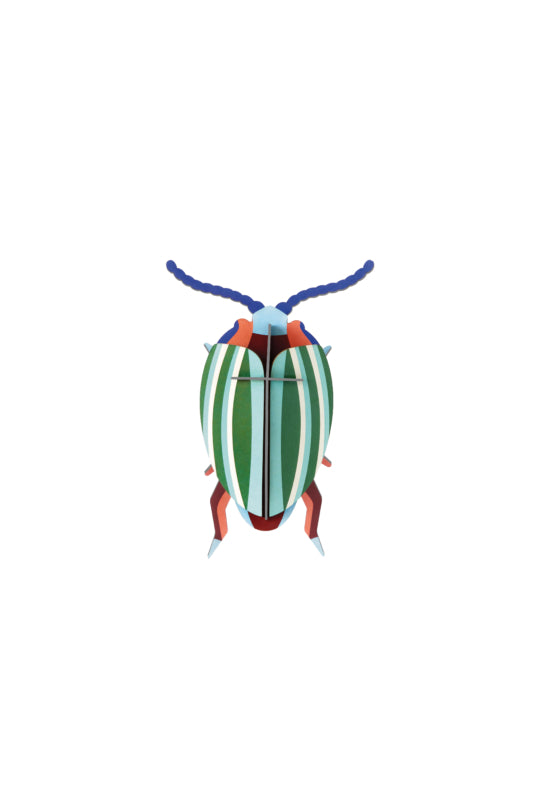 Rainbow Leaf Beetle
