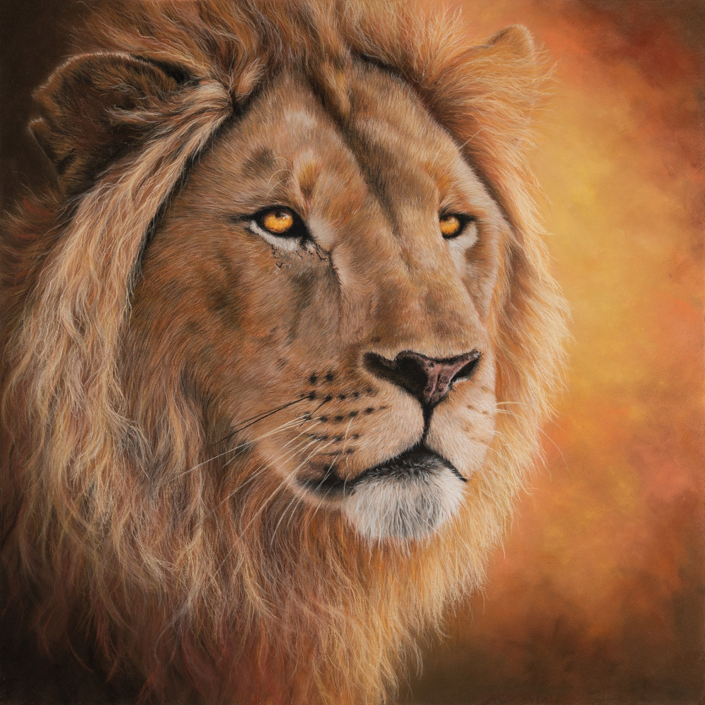 Lion - ‘Sentinel’