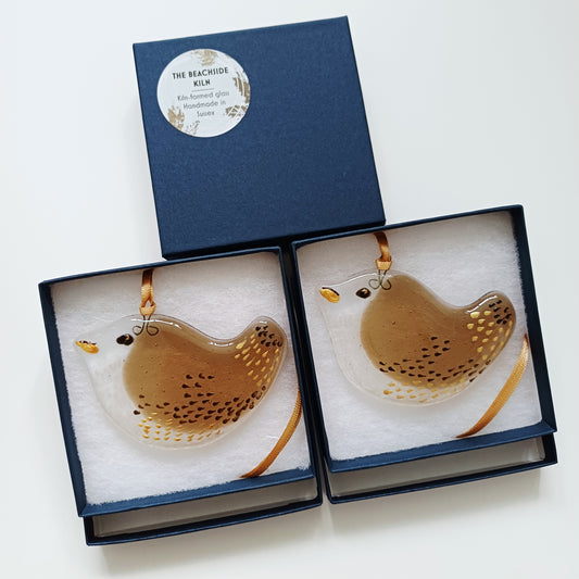Glass Wren