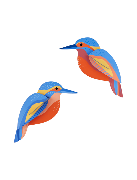Garden Birds - Kingfishers