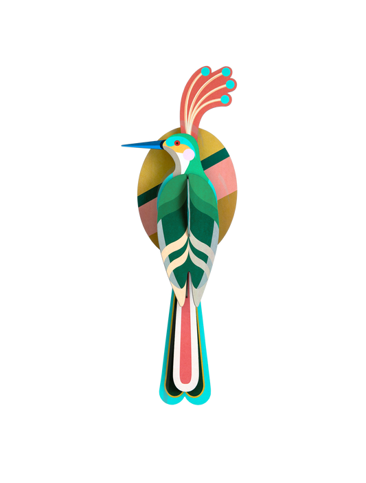 Paradise Bird - Nias (Medium)