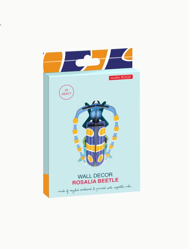 Rosalia Beetle