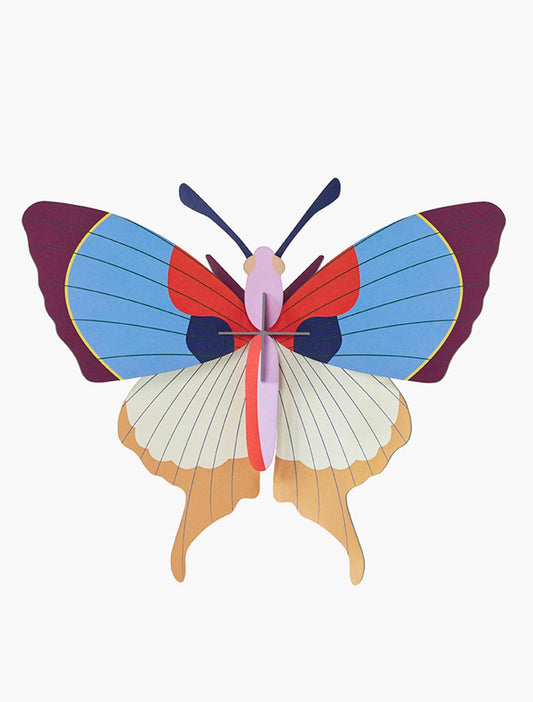 Plume Fringe Butterfly - Large - Gigglewick Gallery